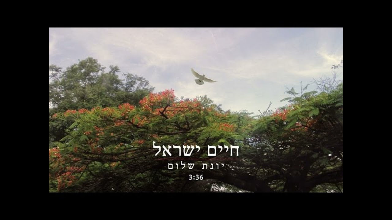 חיים ישראל בראיון על השיר החדש "יונה לבנה"