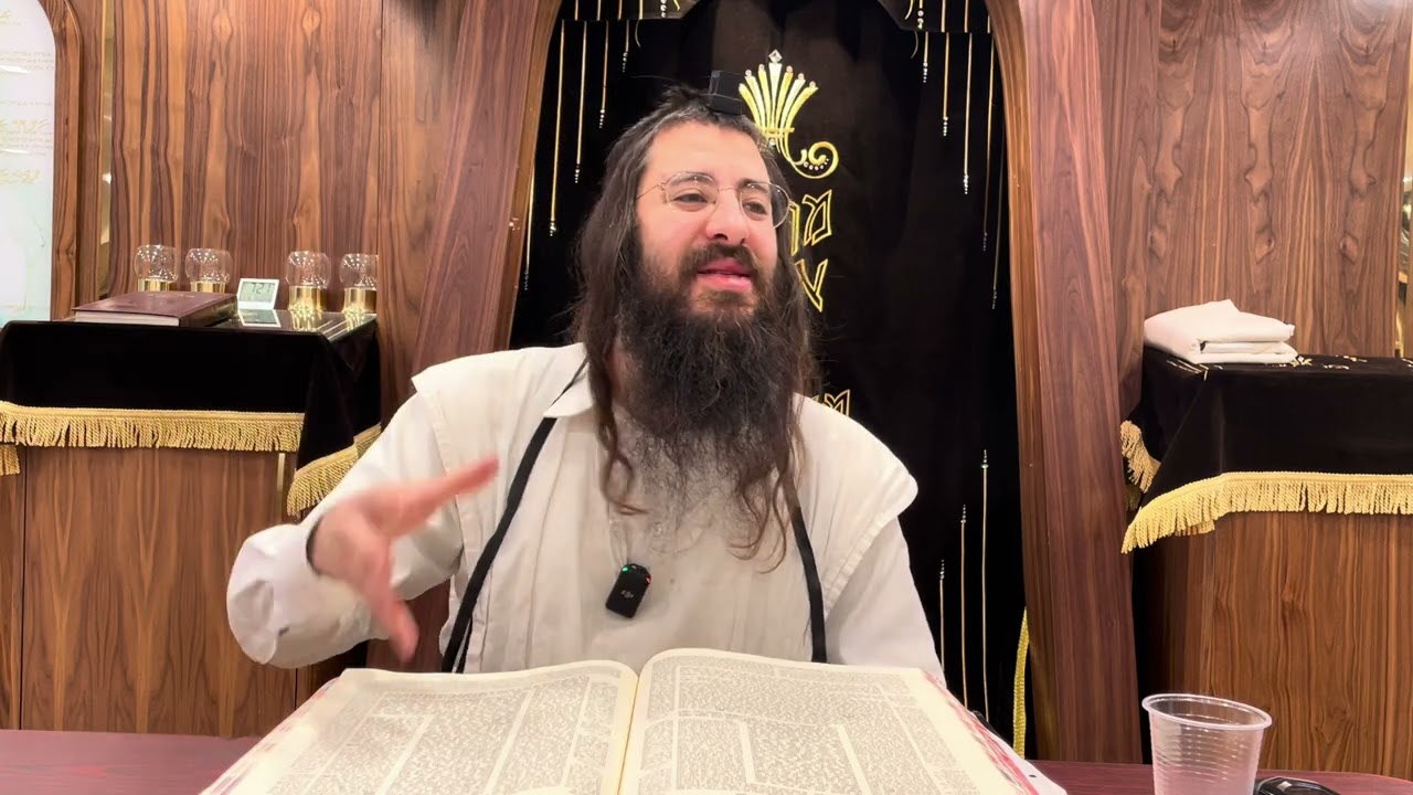Bava Basra 175 Harav Chaim Ozer Geldzahler