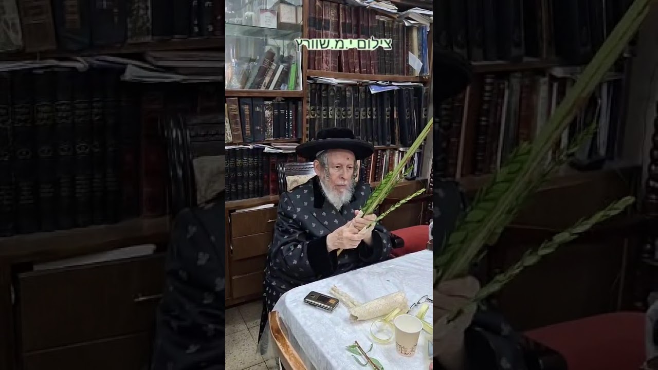 Stropkover Rebbe Binding His Lulav Erev Sukkos 5786