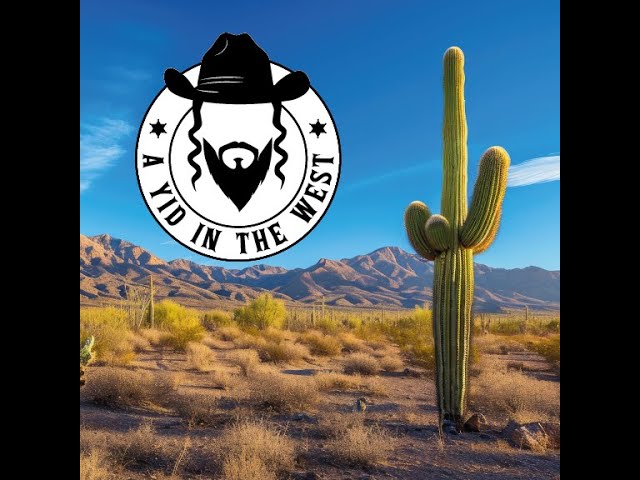 Episode #13: Moshe Wigder the Pioneer from Hillside New Jersey shares his story.