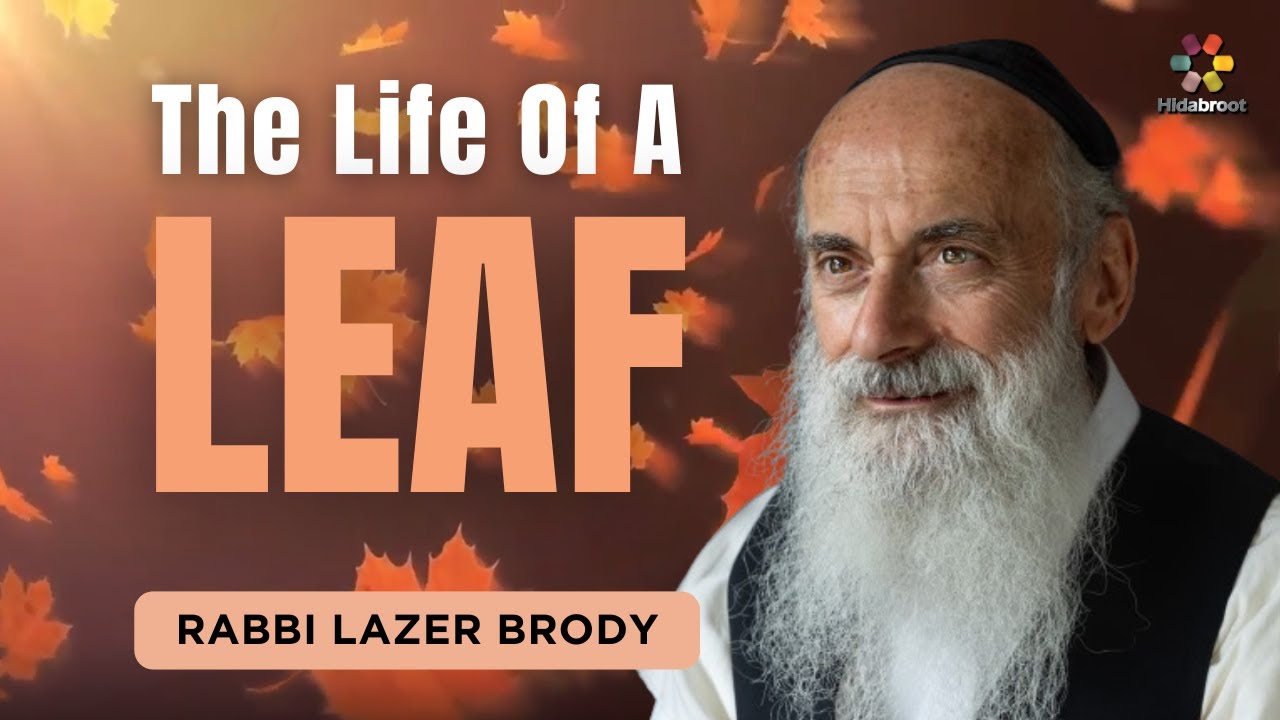 The Life of a Leaf - Rabbi Lazer Brody