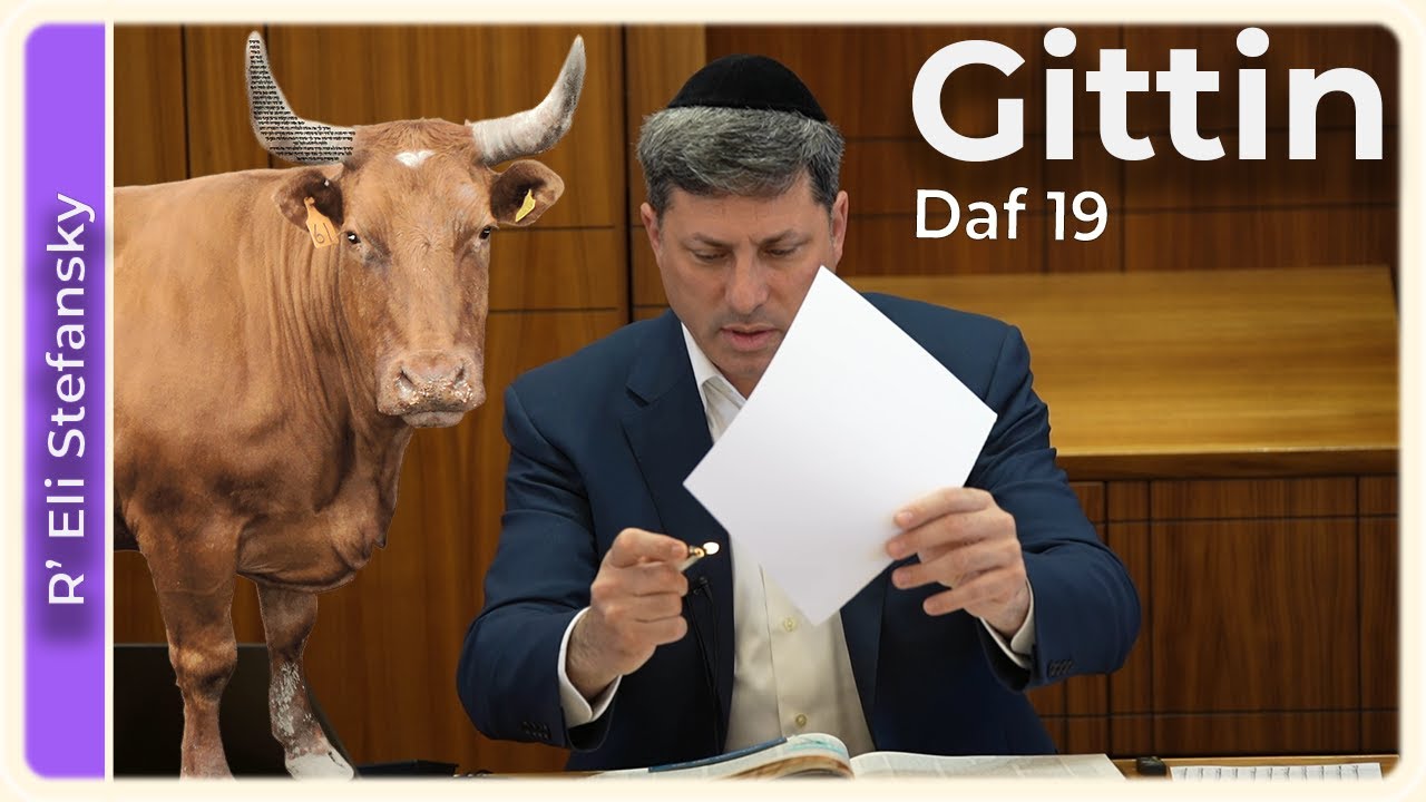 Daf Yomi Gittin Daf 19 by R’ Eli Stefansky