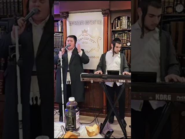 יוסי לויבער • אברמי קאהן ישיבה אור השבת ד'אשוואר בהנהלת פינחס מרדכי גאלד שליט"א חנוכה