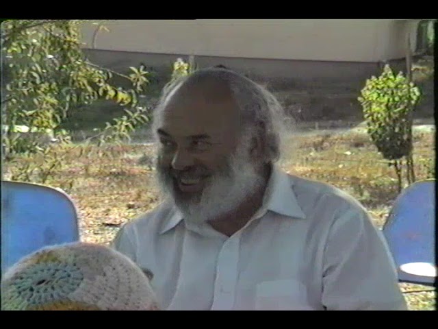 shlomo 8