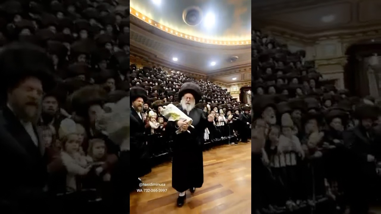 Hachnoses Sefer Torah To Vein Shul In Williamsburg | הכנסת ספר תורה לבהמ”ד וויען בויליאמבבורג
