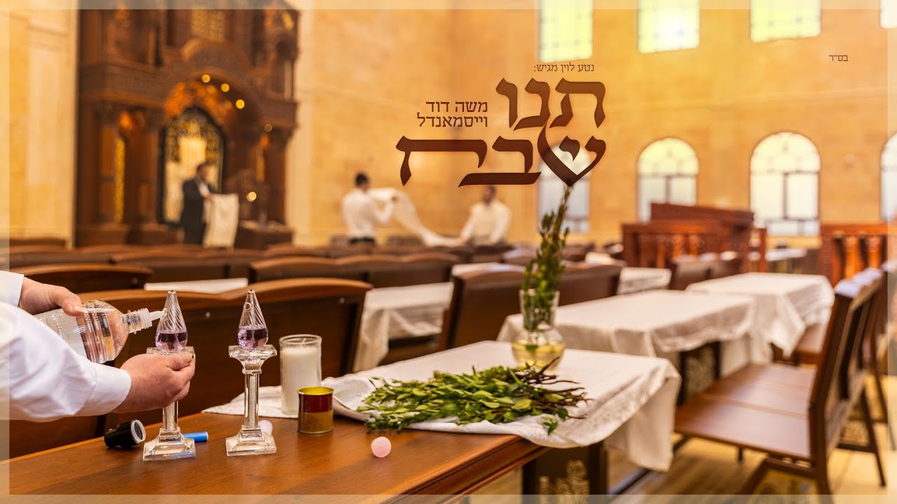 משה דוד וייסמנדל - תנו שבח | Moshe Duvid Weissmandl - Tni Shevach
