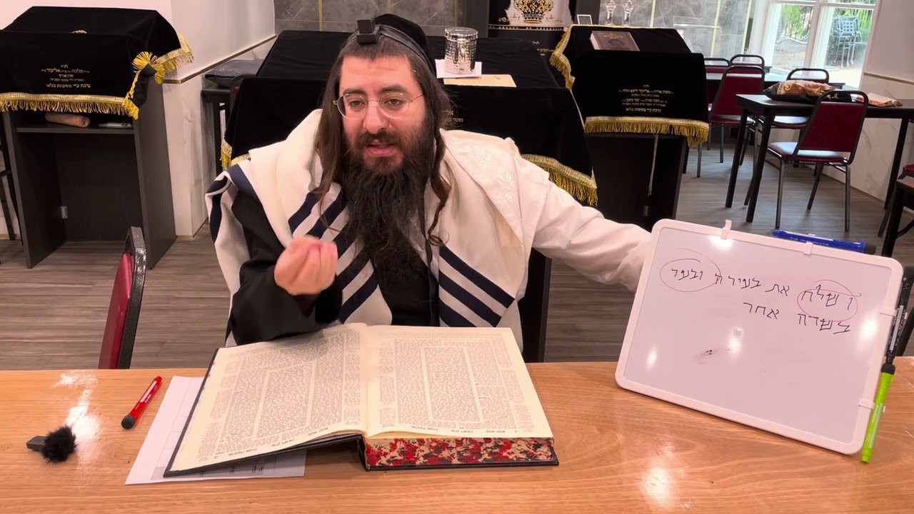 Harav Chaim Ozer Geldzahler, Daf Yomi Baba Kama 3