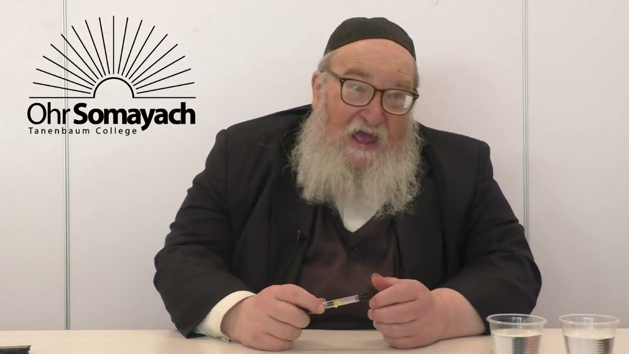 Shushan Purim Part 2 (HaRav Yitzchak Breitowitz)