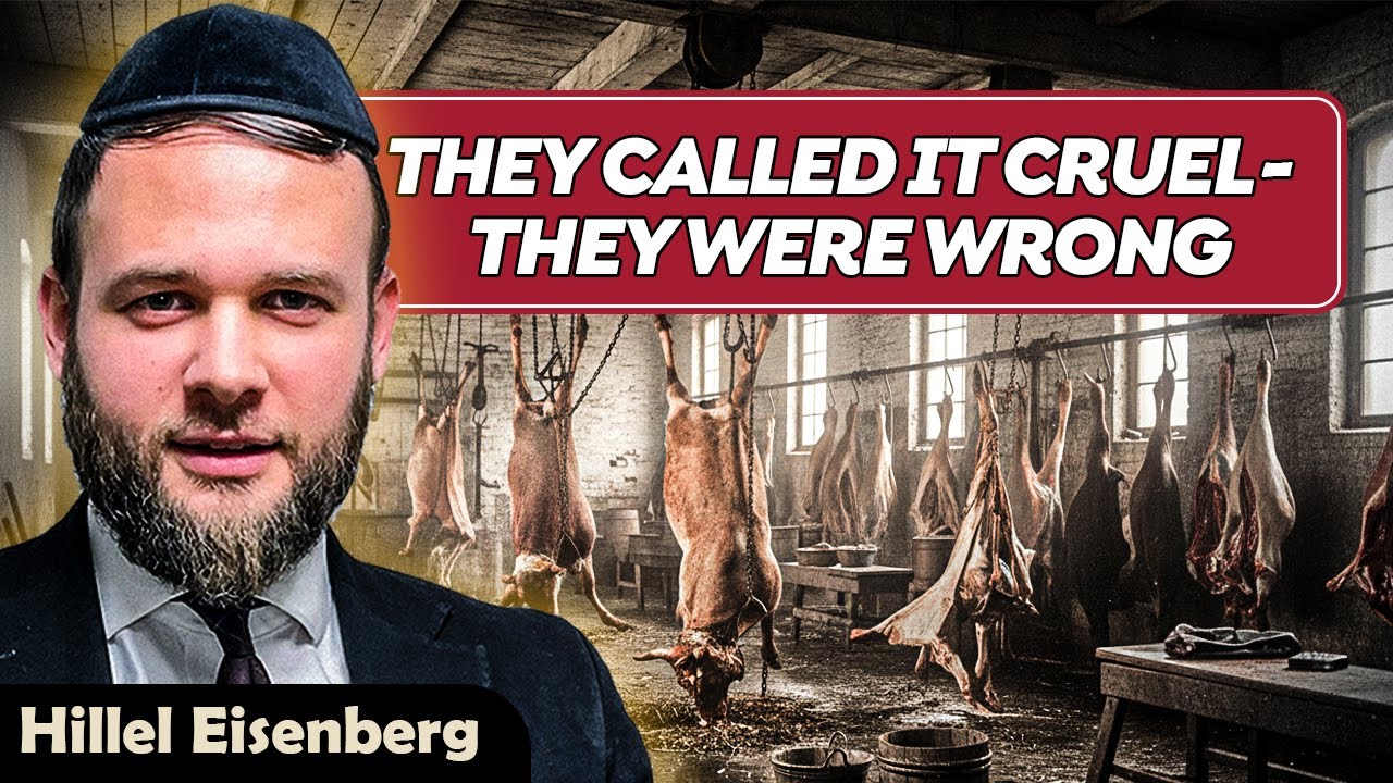 They Called Us Cruel - They Were Wrong