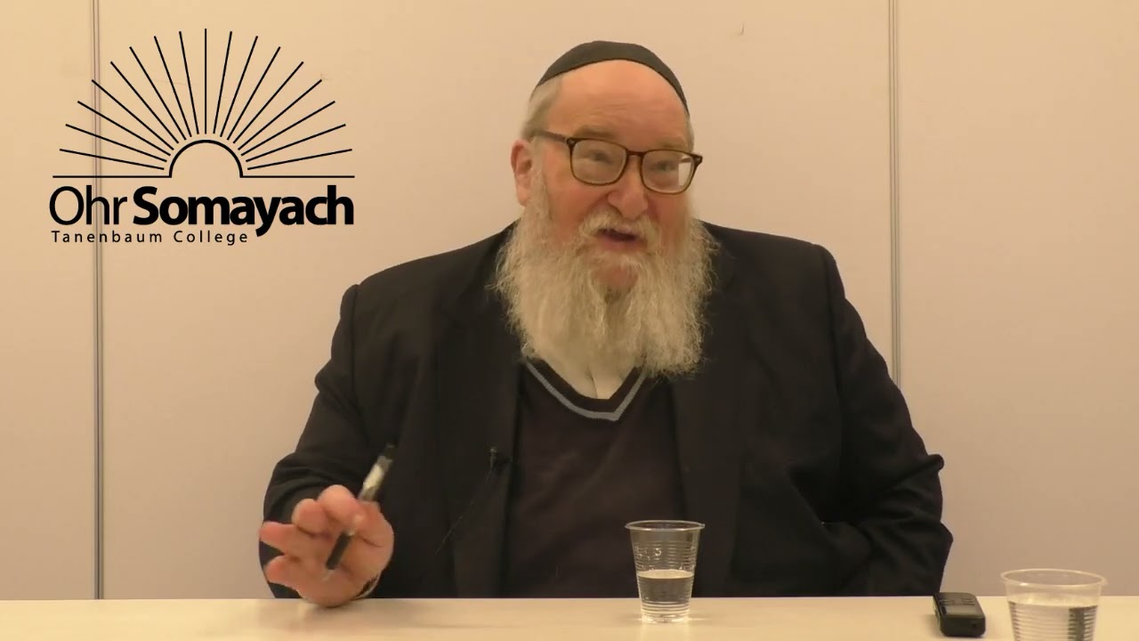 Rambam's Introduction to Perek Chelek Part 28 - Noahides and Shabbat (HaRav Yitzchak Breitowitz)