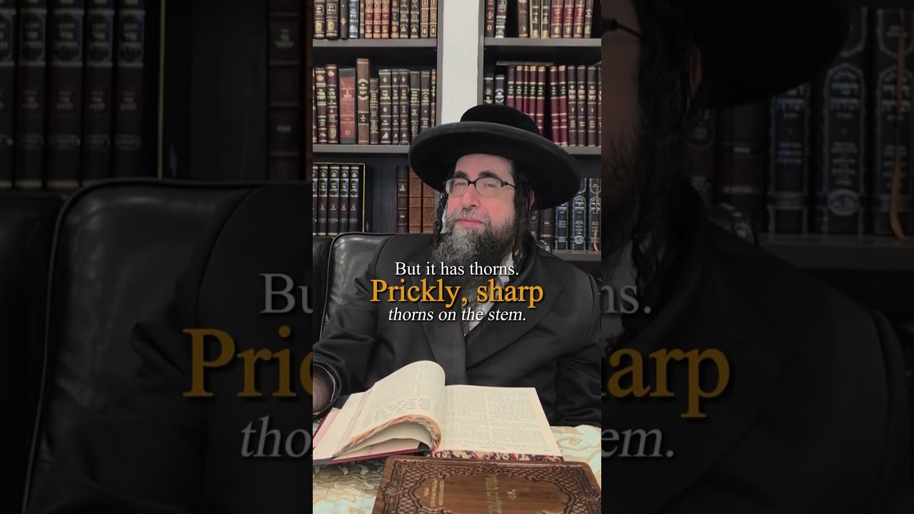 Why Shabbat Needs Rules to Stay Beautiful #Shabbat #TorahWisdom #JewishThought #SpiritualRes #shorts