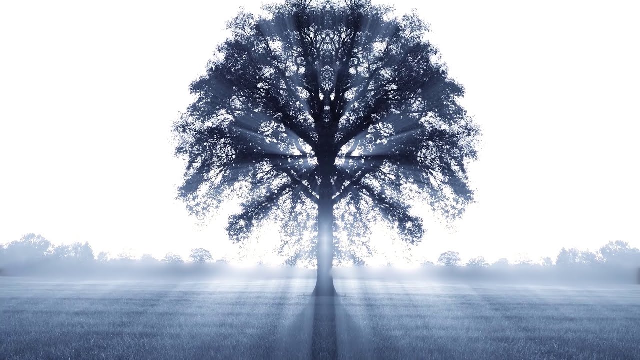 Gateway to Eternal Life - Seasons of the Moon - Shevat