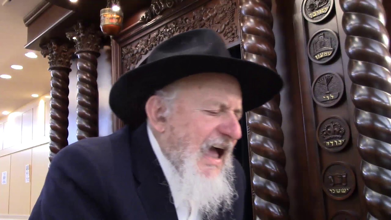 סדרת שיעורים ל"ט מלאכות - מלאכת בורר ומרקד - חלק ג' הרב שלום בער לוין שנת תש"פ