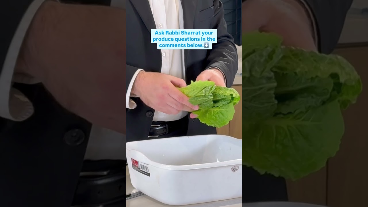 Behind the scenes of our produce checking shoot with Rabbi Sharrat 🥬🍓
