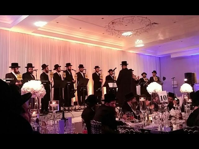 מקהלת מלכות & מוטי אילאוויטש - מודים - ווקאלי | Malchus Choir & Motty Ilowitz - Moidim