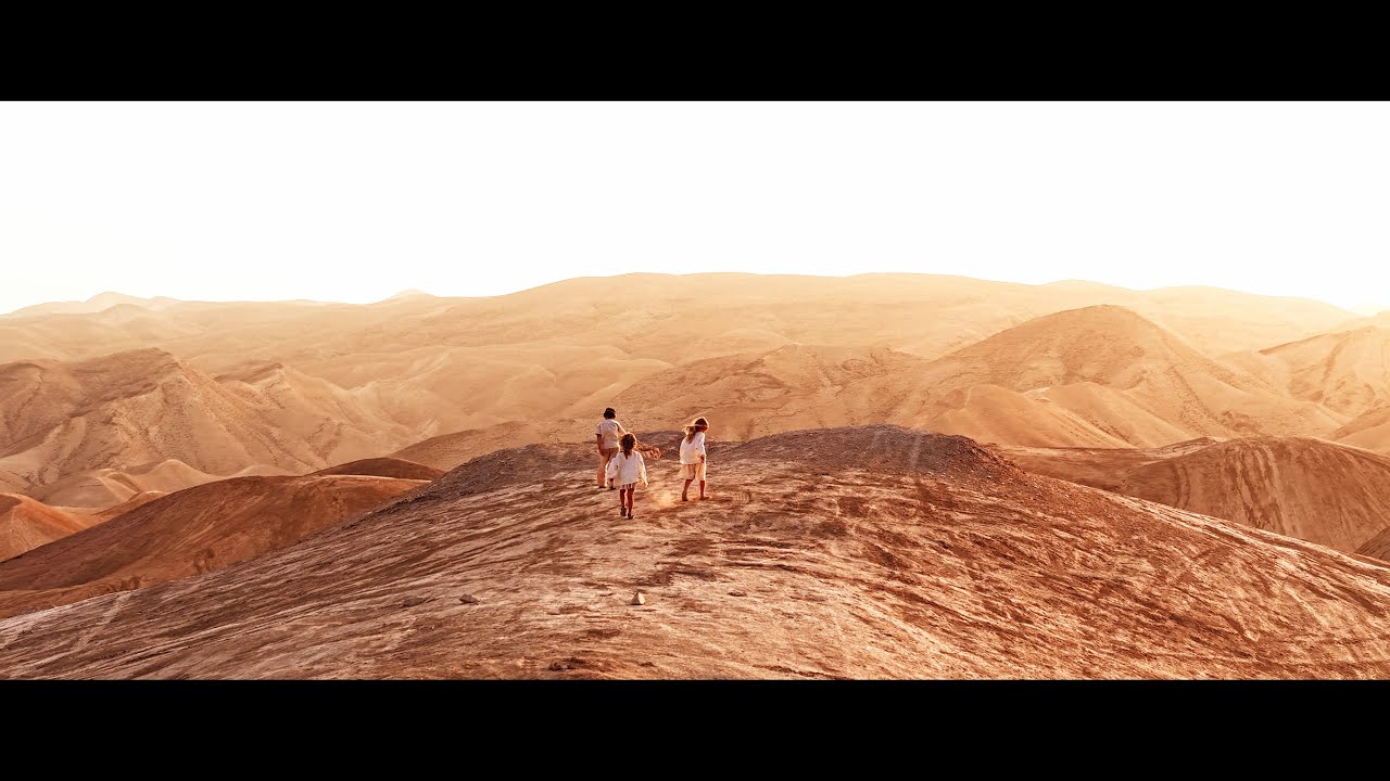 Yair Levi - Freedom