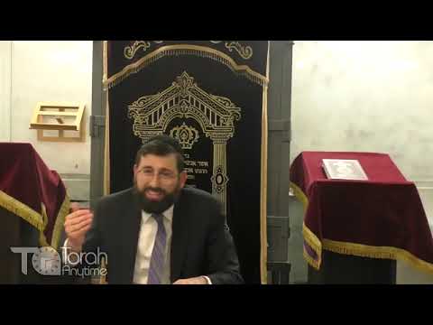 Parshas Shoftim: The Electrifying Lomdus and Machshava of "Eidim Zomimmim"