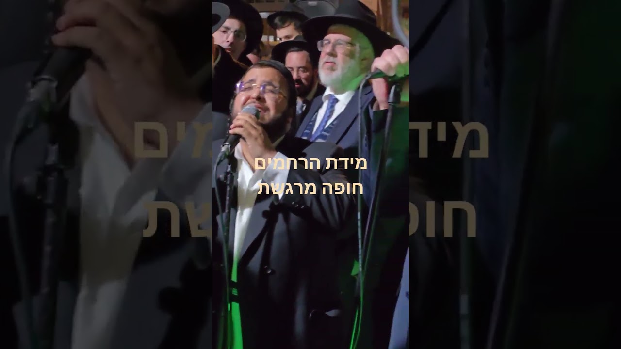 שלוימי מאיר בביצוע מרטיט לשיר מידת הרחמים בחופה מרגשת עם הקלידן @ruli_mendelzon