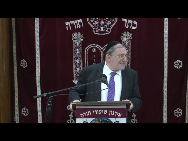 Decision • Direction • Determination In Our Daily Lives - Rabbi Paysach Krohn Shlita