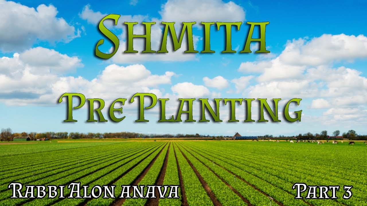 Shmita | Part 3 - Pre planting of seedlings and plants