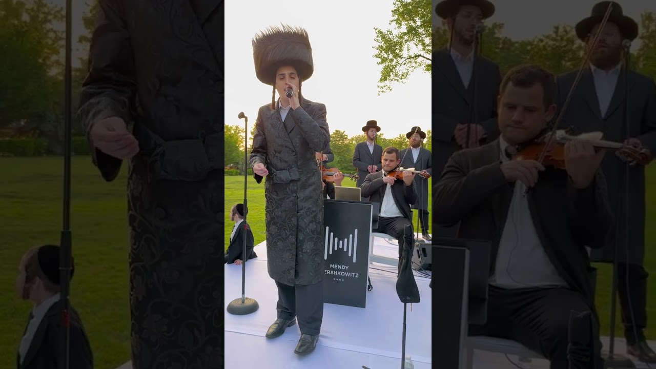 D R E A M Y@mottysteinmetzofficial #mottysteinmetz #jewishmusic #chuppah #חופה