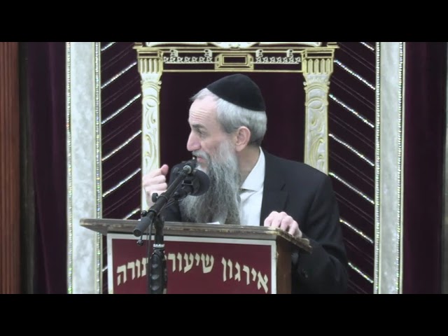 Cleaning A Home On Shabbos - Rabbi Yakov Zev Smith