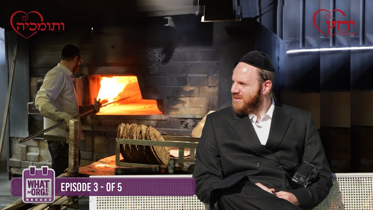 OVER 50.000 pounds matzah for FREE (almost) - #whatanorg  EP 3 | YIDDISH #whataday #MesamcheLev