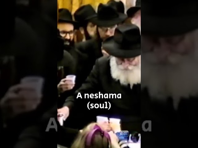 The Rebbe pours blessing, the Chassidim sing of love.