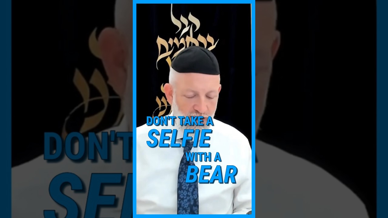 Don't take a SELFIE with a BEAR