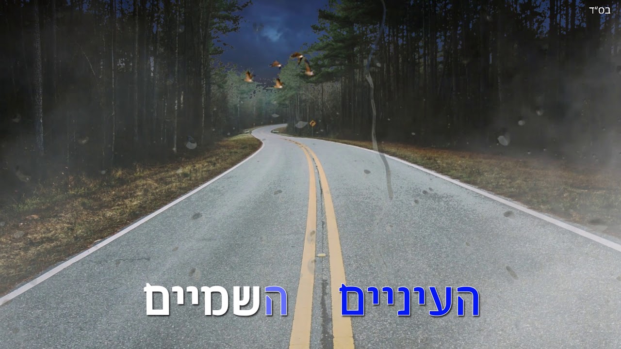 הדרך משקרת | אליה והב - קריוקי רשמי