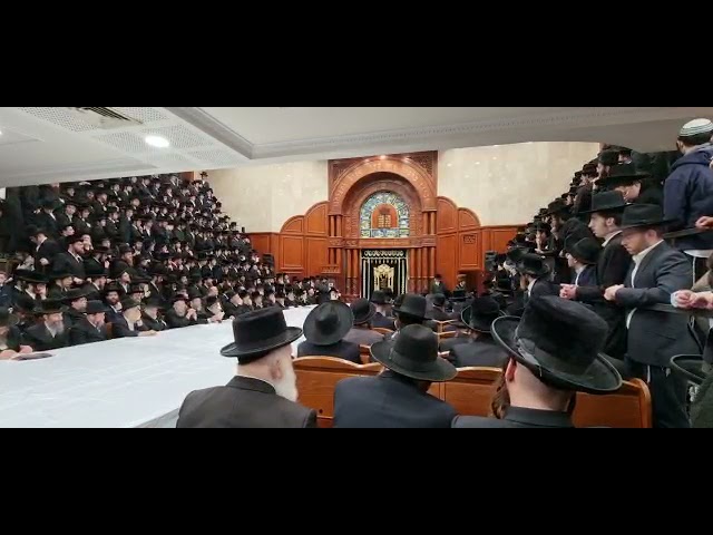 זאת חנוכה ביי כ"ק אדמו"ר מסאדיגורא שליט"א