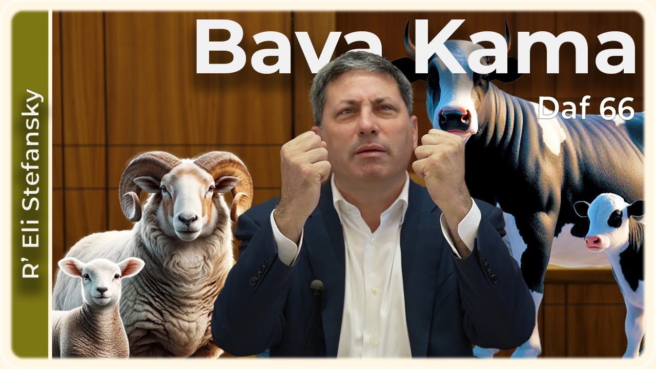 Daf Yomi Bava Kama Daf 66 by R’ Eli Stefansky