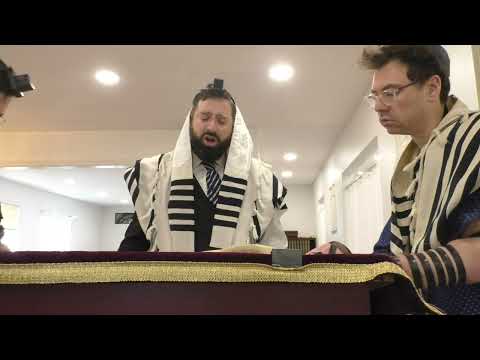 Rav Glatstein Leining Megillas Esther 2024