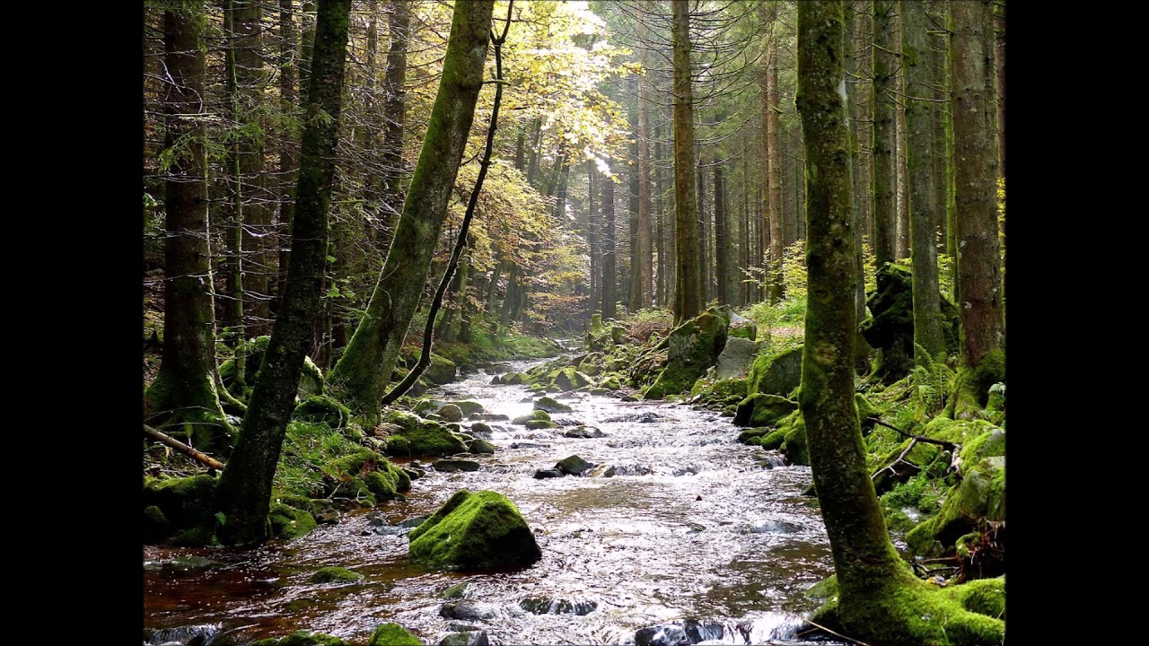 The Soul of Israel: The Secret to Swimming Upstream