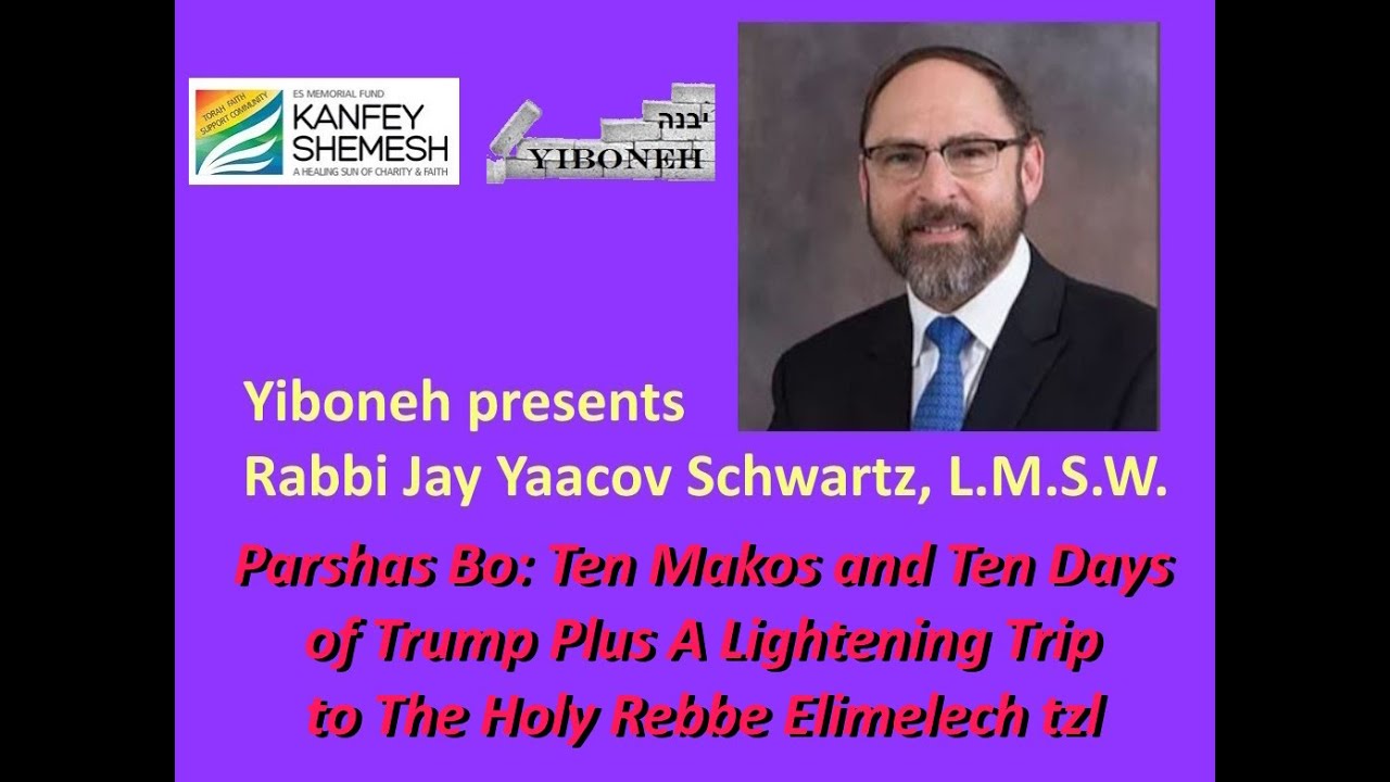Parshas Bo: Ten Makos and Ten Days of Trump  Plus A Lightening Trip to The Holy Rebbe Elimelech tzl