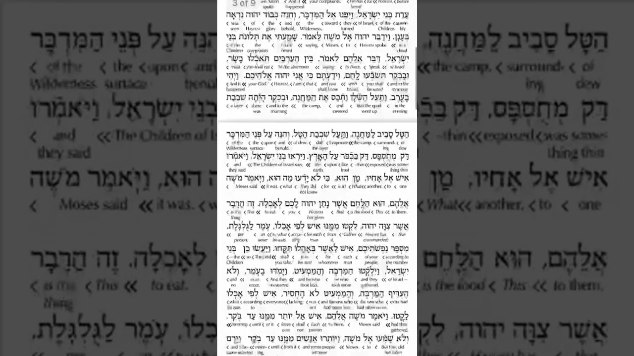 ParshasHamon.com 📖 Parshas Hamon Segulah for Parnassah