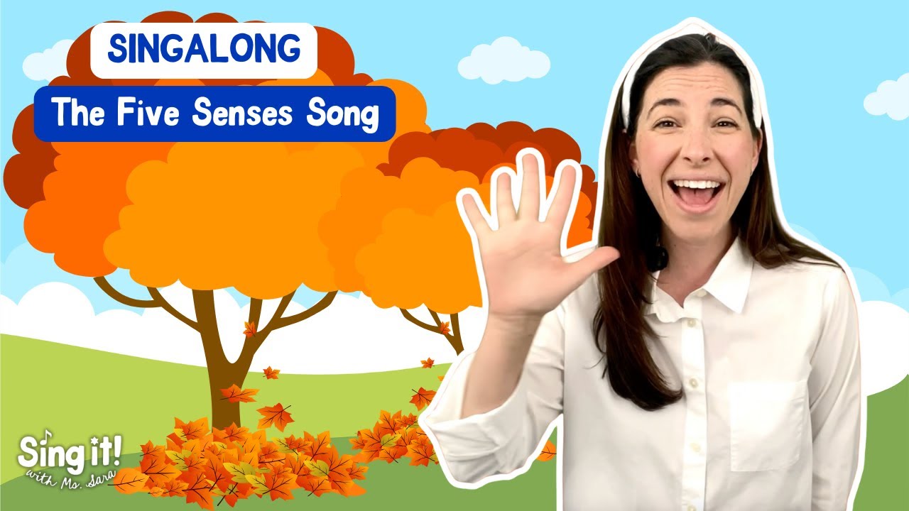 The Five Senses Song