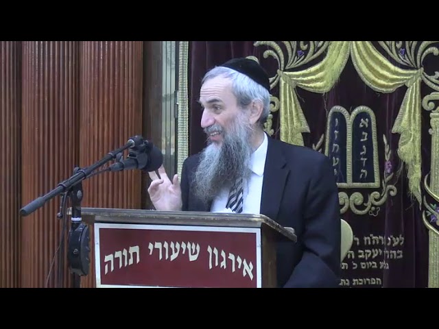 Children And Hilchos Muktzah   - Rabbi Yakov Zev Smith