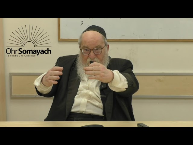 The Numbers Of Israel | Bamidbar | HaRav Yitzchak Breitowitz