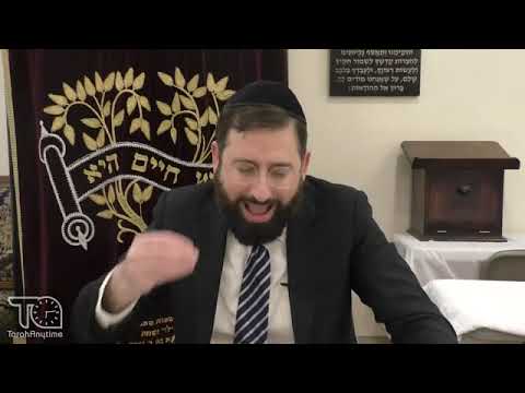 Afikoman: The Incredible "T'nai" of the Avnei Nezer & the Objection of Rav Moshe Feinstein {Pesach}