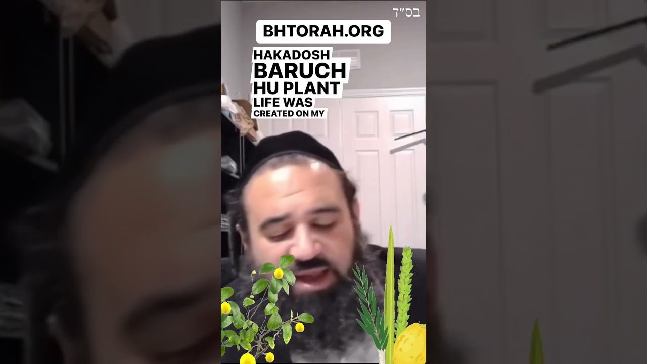 Angels of The Third Day Of Creation #Torah #Jewish #RabbiYaronReuven #Sukkot