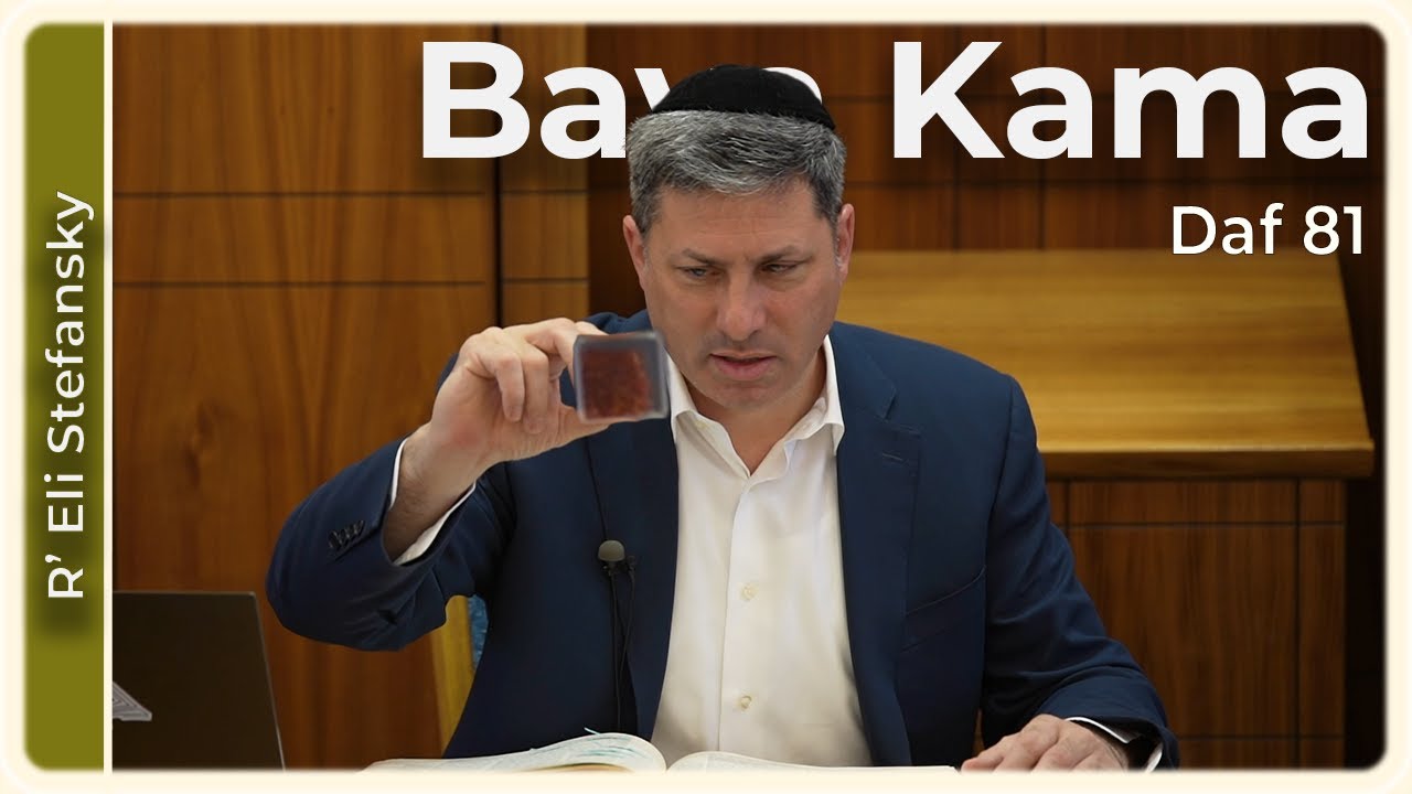 Daf Yomi Bava Kama Daf 81 by R’ Eli Stefansky