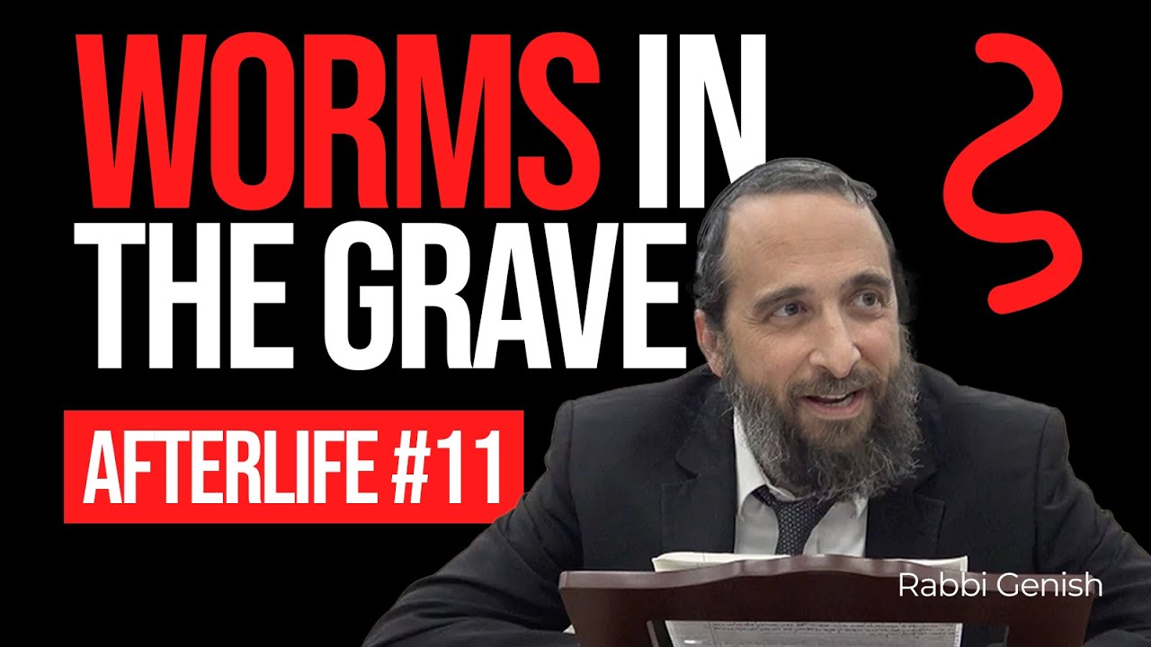 Worms In the Grave (Afterlife #11)
