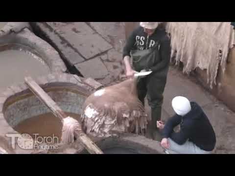 Journey To Morocco: The Fez Tannery and the Sale of Yosef
