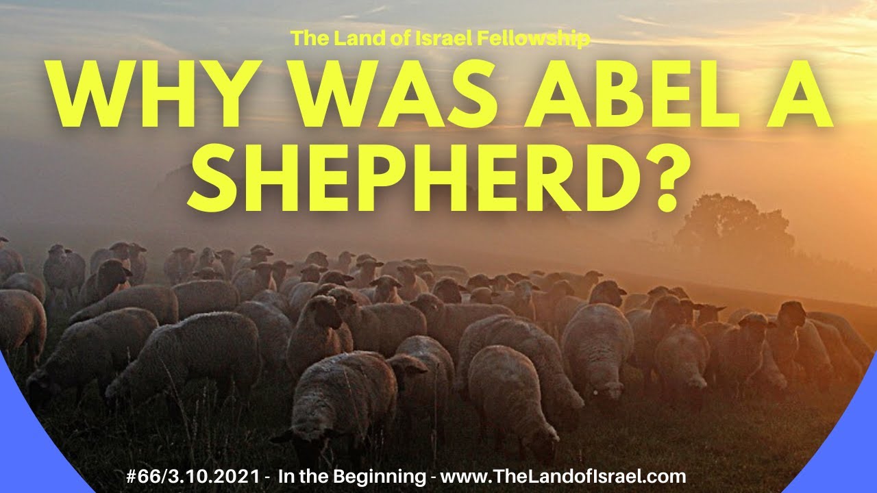 Why Was Abel a Shepherd? - Ari Abramowitz: The Land of Israel Fellowship
