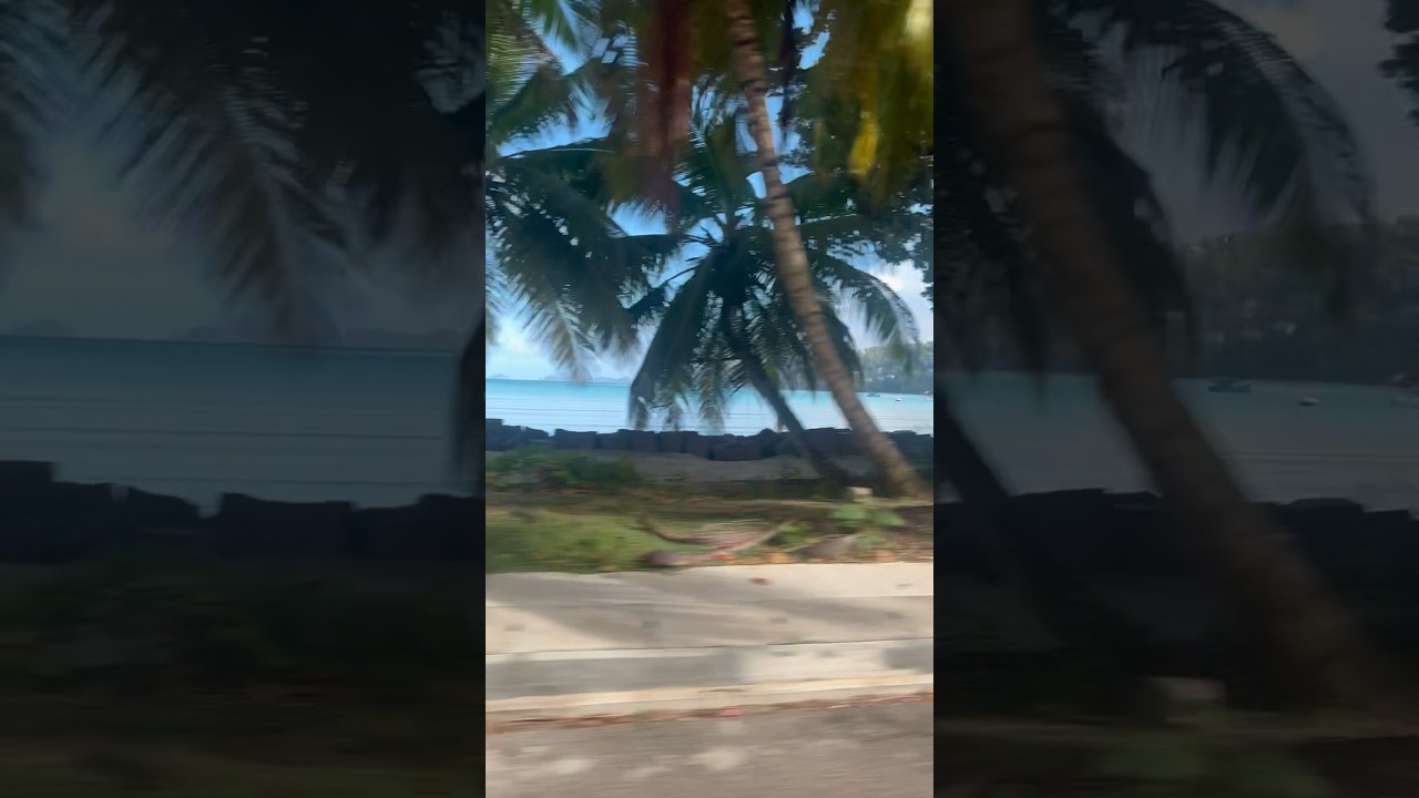 The view from the airport to the hotel in the Seychelles #shorts