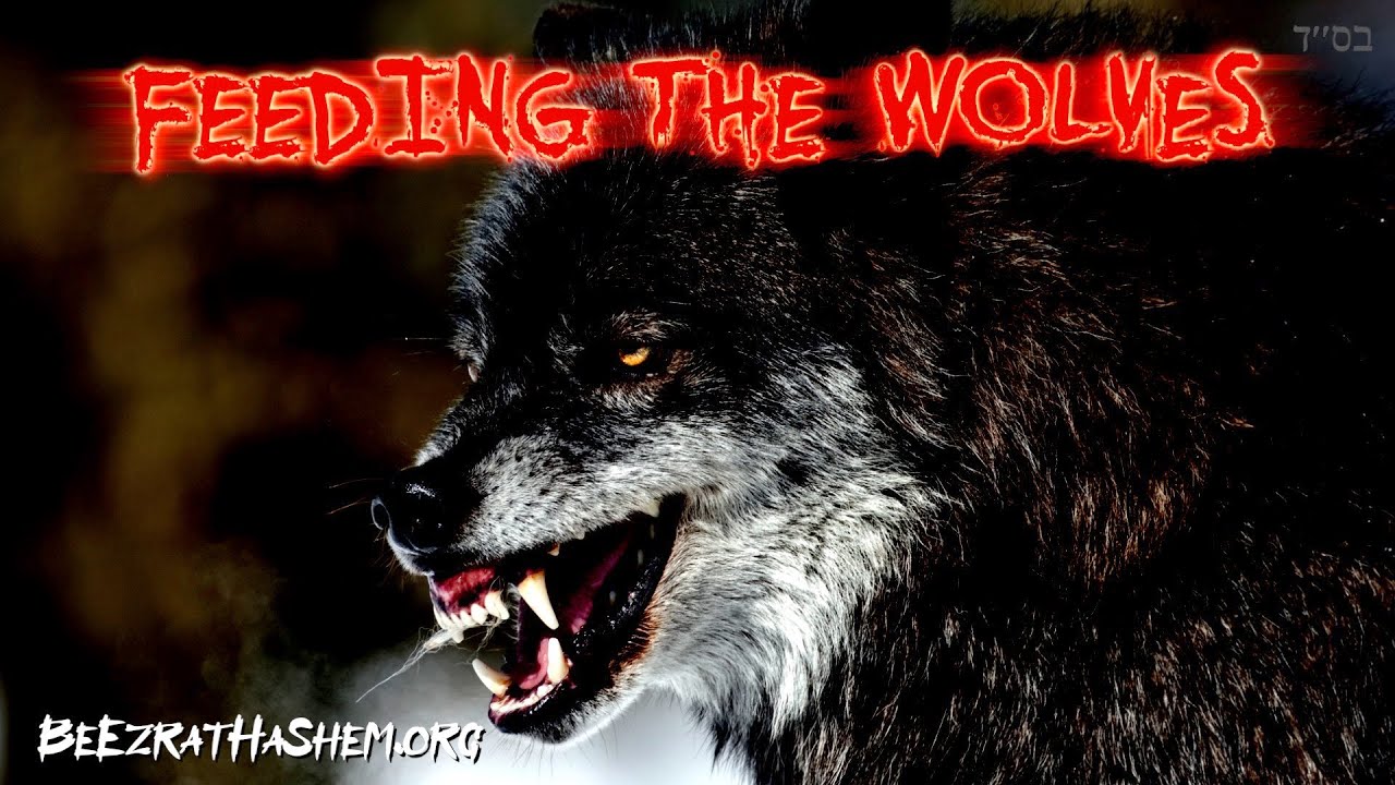 FEEDING THE WOLVES