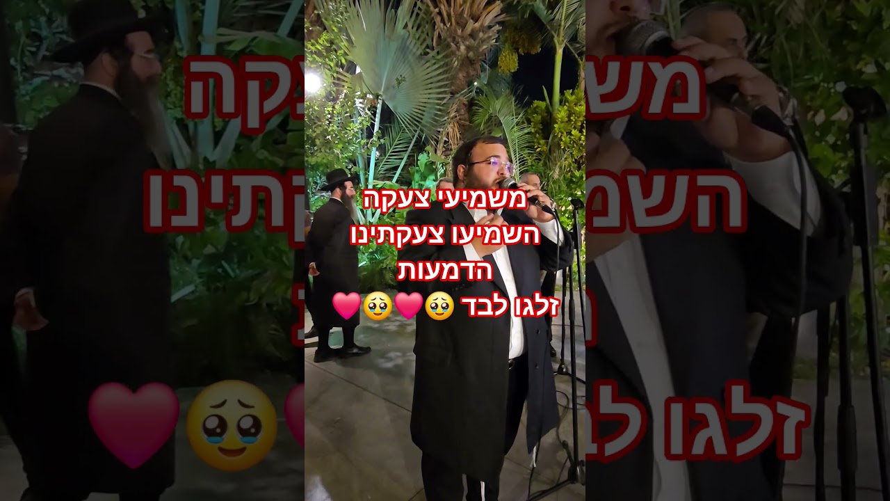 הזמר שלוימי מאיר עם רולי מנדלזון ותזמורתו בחופה מרגשת