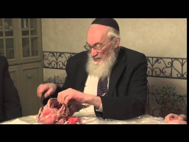 What's wrong with this chicken? - The (really) inside story of the chicken (5 of 8)