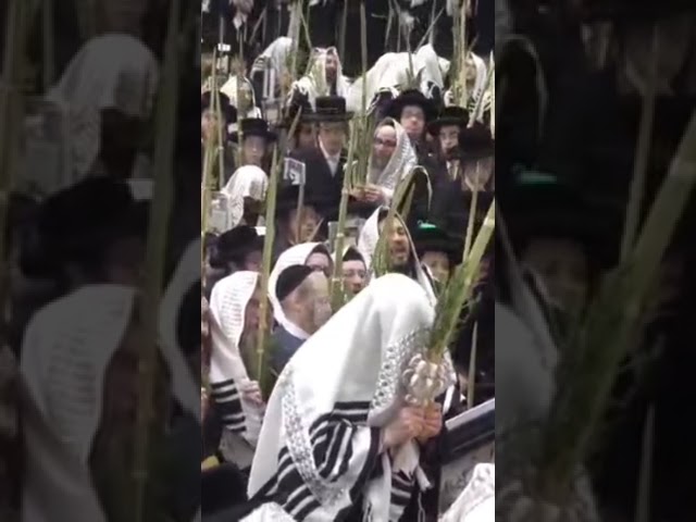 סאטמאר